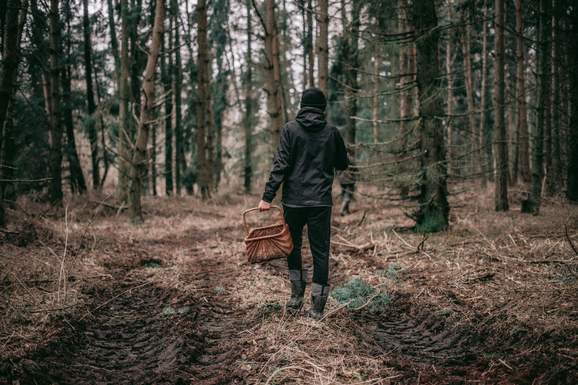 Pilzsammler im Wald